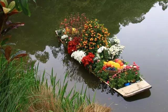 还没看的景点,大夫山最美景色