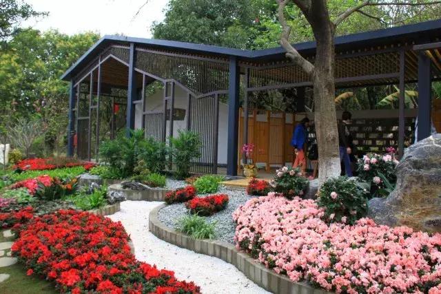 还没看的景点,大夫山最美景色