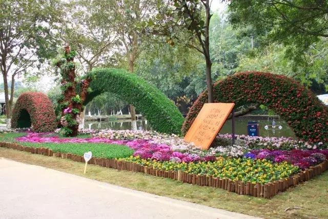 还没看的景点,大夫山最美景色