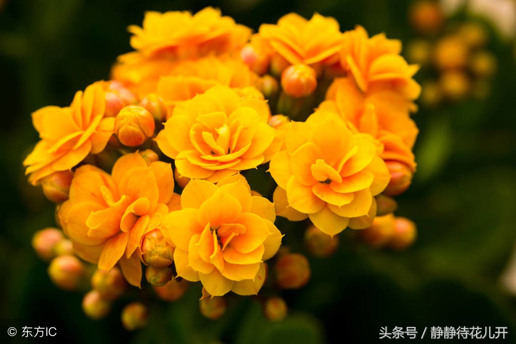 幸福人生格言座右铭励志,幸福励志短句