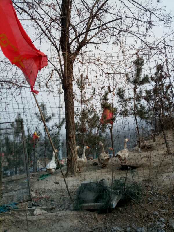 中国体育彩票棋王争霸赛汕尾赛区,2022体育彩票全国象棋民间赛