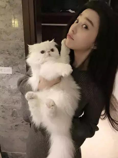 代购美妆博主,美妆博主范冰冰