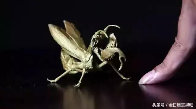 用纸折出来的能卖20万的螳螂,折纸天才秦坤一只纸螳螂卖到21万