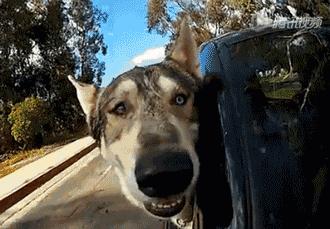 FebruaryShare丨过年期间，我居然发现了这么多便宜又好用的东西