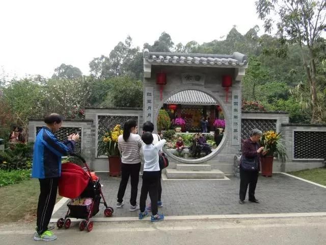 还没看的景点,大夫山最美景色