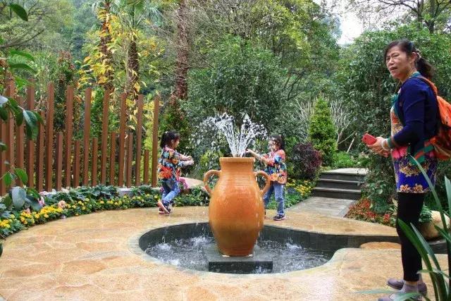 还没看的景点,大夫山最美景色