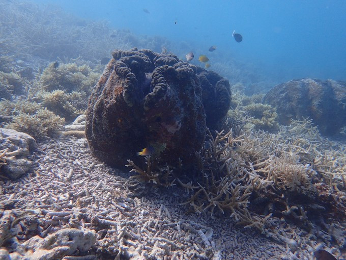 蜜月短途旅行,蜜月旅行遇见朋友闺蜜