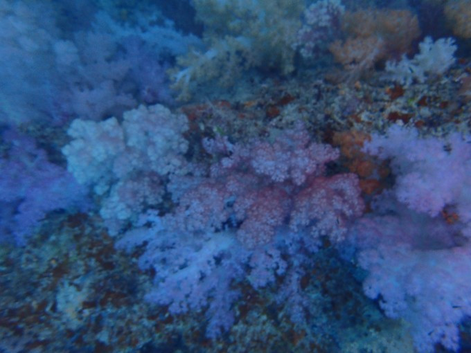 蜜月短途旅行,蜜月旅行遇见朋友闺蜜