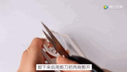 谁还买菜啊，空油桶剪两刀，蔬菜多到吃不完！