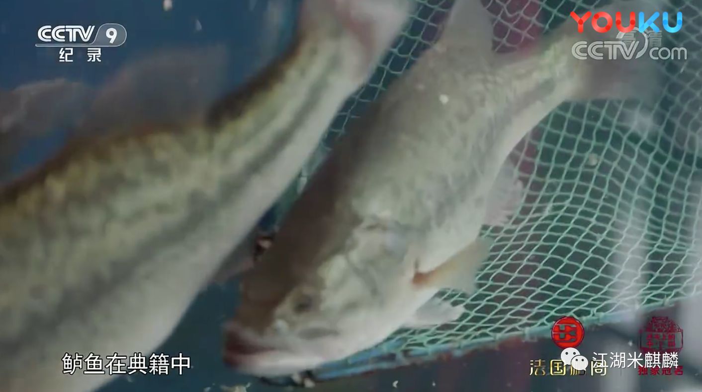 专业度负分、垮掉的文案、煽不起的情,《舌尖上的中国》3看的累