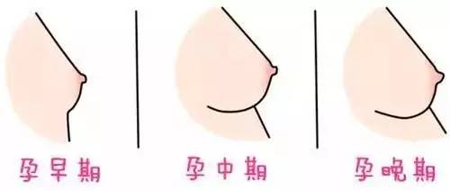 这七个早孕征兆，说明小宝宝们就要来报道啦~接好孕吧！