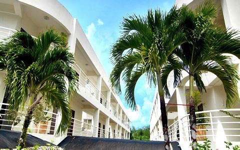 帕劳出行攻略详细,帕劳群岛隐藏攻略