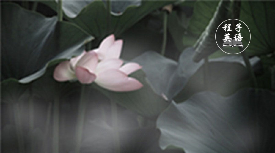 高中英语词汇大全汇总必背,高中英语想学好记住这几点