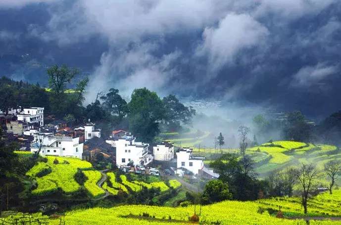 中国十大最美油菜花前十位,中国最美十大油菜花田排名