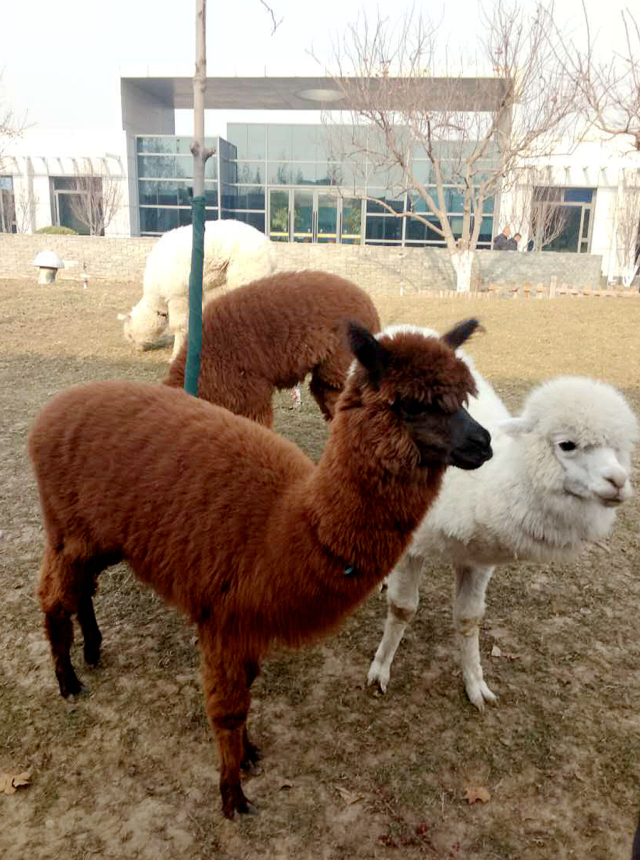 东方时尚以实力铸就品牌,东方时尚