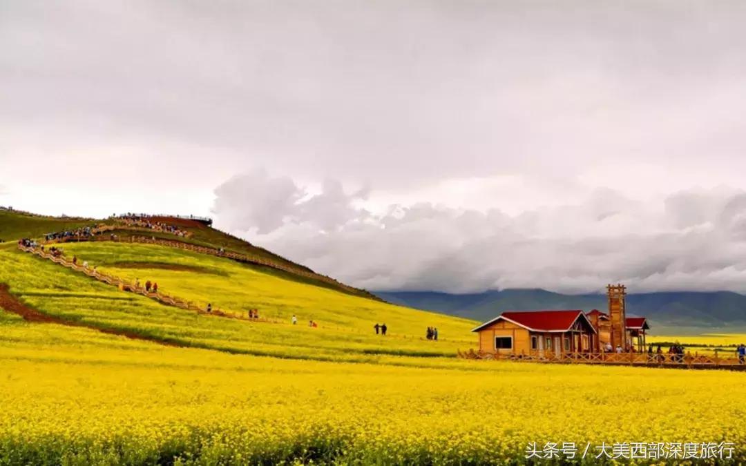 大连英歌石植物园赏花时间表,2022常州公园赏花时间表