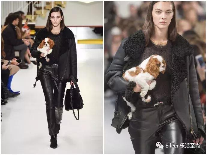 刘雯和热巴视频,刘雯热巴