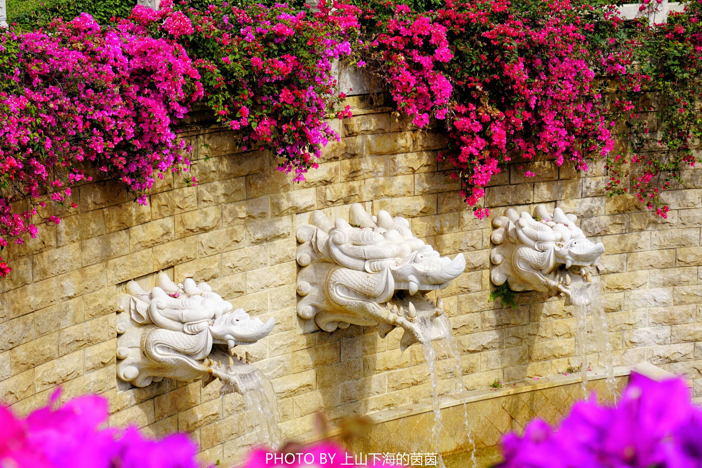 三亚亚龙湾华宇度假酒店测评,三亚酒店测评君悦
