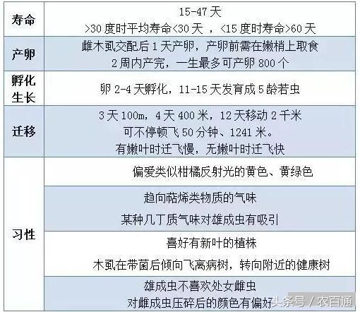 想要预防黄龙病，必先要治木虱！柑橘木虱发生规律与防治|解析