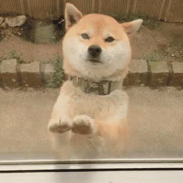 FebruaryShare丨过年期间，我居然发现了这么多便宜又好用的东西