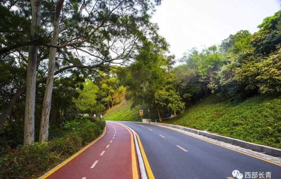 鹿泉旅游发展大会,石家庄2024年旅游发展大会