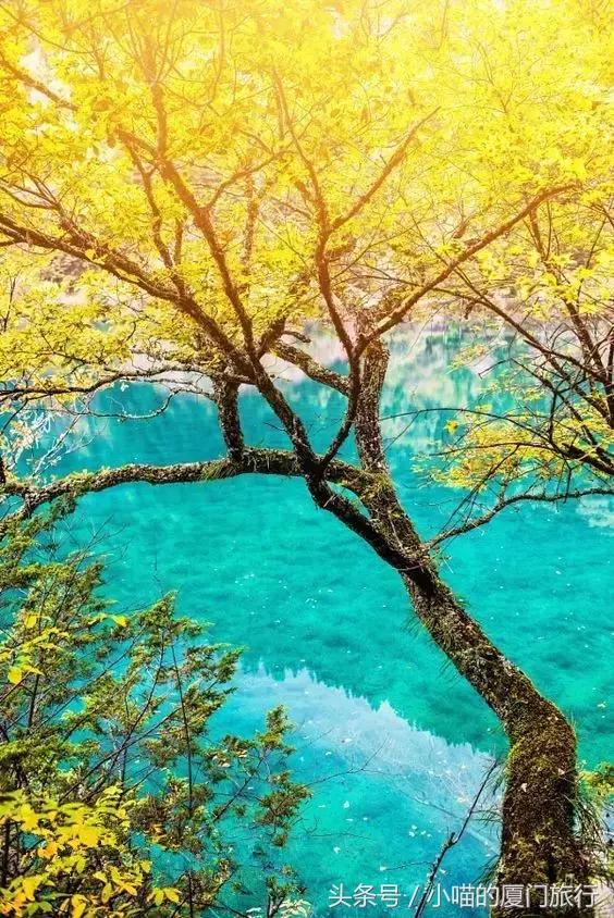 最值得去的52个旅行地,80个最值得一去的旅游胜地