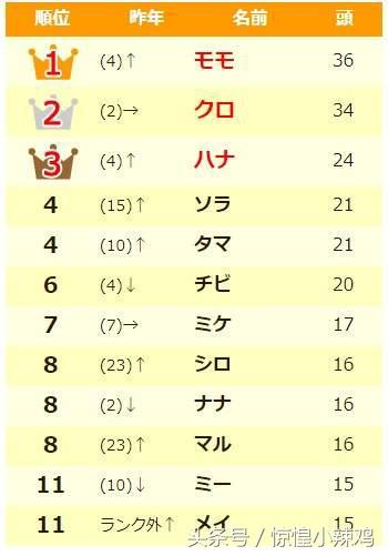 2019宠物猫名字,宠物猫有哪些好听的名字