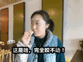 撒狗粮意思是,撒狗粮为什么不真的撒狗粮