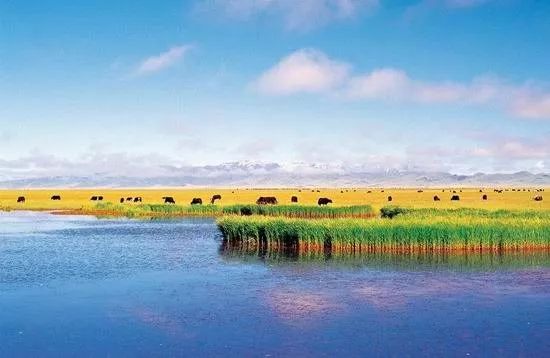 适合一个人去的9个小众旅行地,80个特色旅游活动