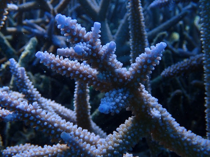 蜜月短途旅行,蜜月旅行遇见朋友闺蜜