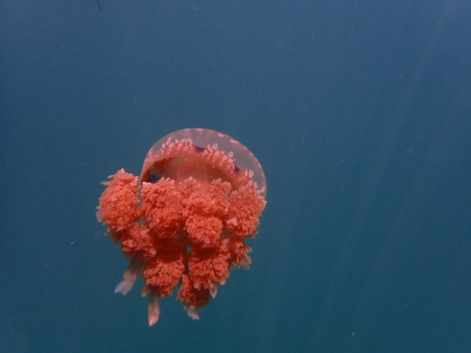 蜜月短途旅行,蜜月旅行遇见朋友闺蜜