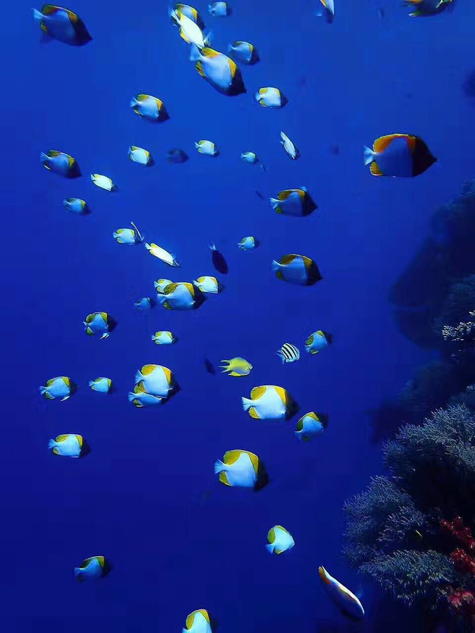 蜜月短途旅行,蜜月旅行遇见朋友闺蜜