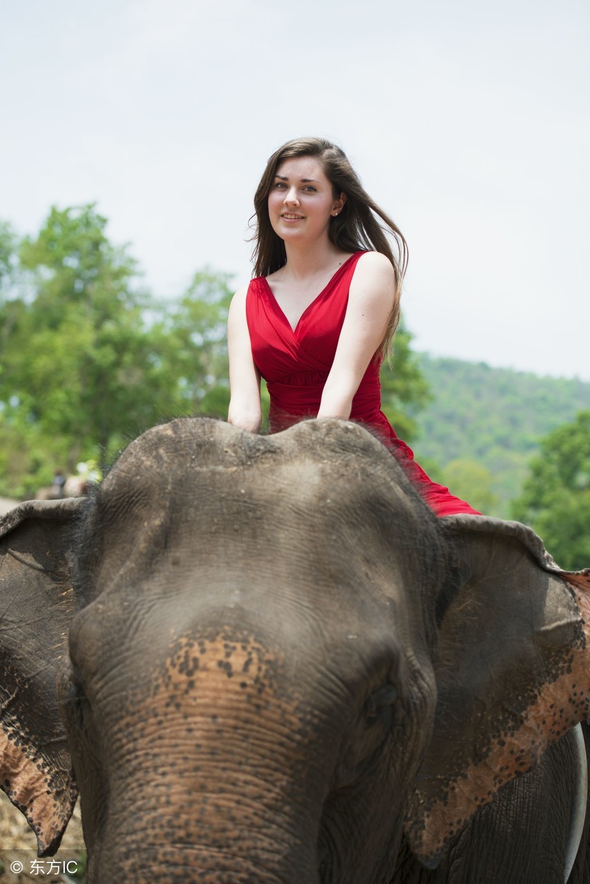 千万不要把英文翻译过来,千万不要把英文歌翻译成中文翻译