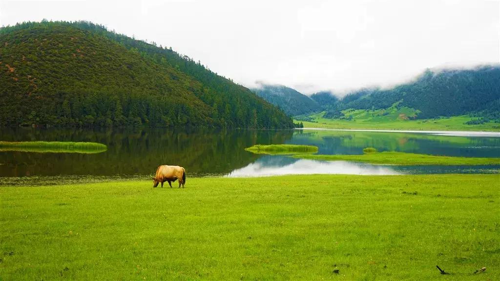 自驾游怎么穿越雪谷,自驾穿越雪地雾凇视频