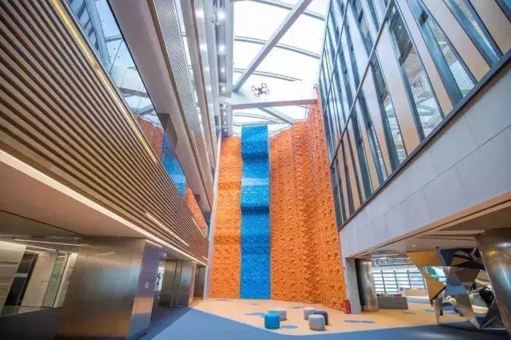 深圳十大最有潜力的公司,深圳盘点最值得进的公司