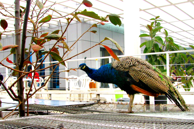 东方时尚以实力铸就品牌,东方时尚