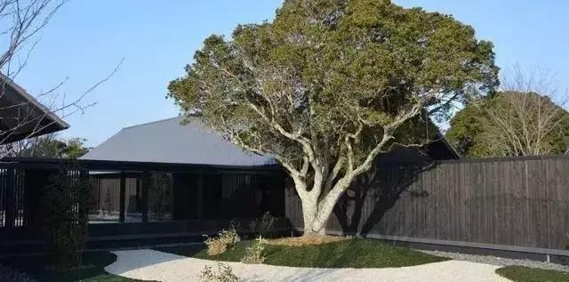 让人痴狂的伤感歌,让人痴狂诗句