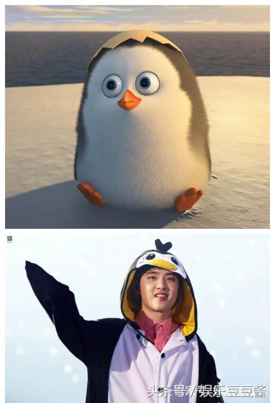都暻秀和企鹅,都暻秀企鹅好可爱