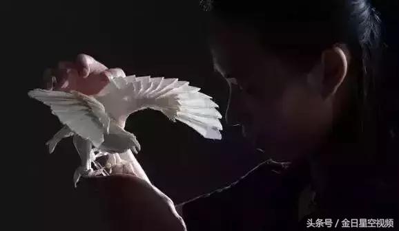 用纸折出来的能卖20万的螳螂,折纸天才秦坤一只纸螳螂卖到21万