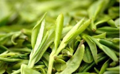 乌泷手作原生茶引领品牌,如何从终端消费者出发为投资项目增值?