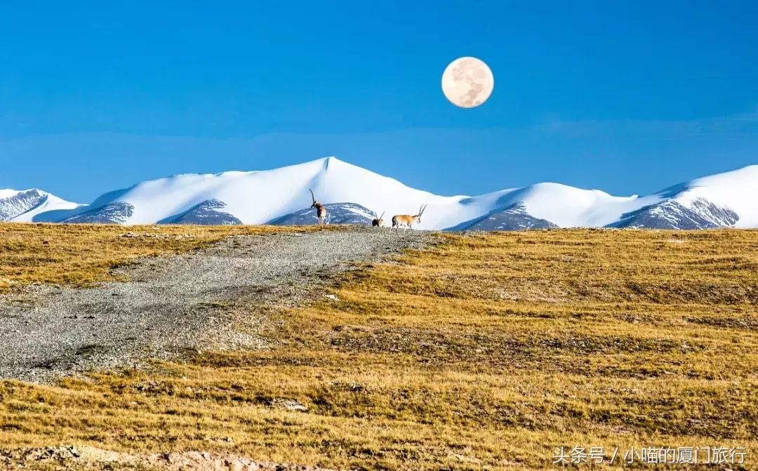 最值得去的52个旅行地,80个最值得一去的旅游胜地