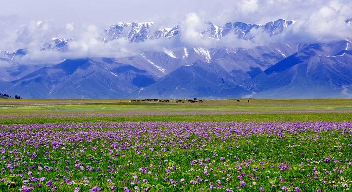 适合一个人去的9个小众旅行地,80个特色旅游活动