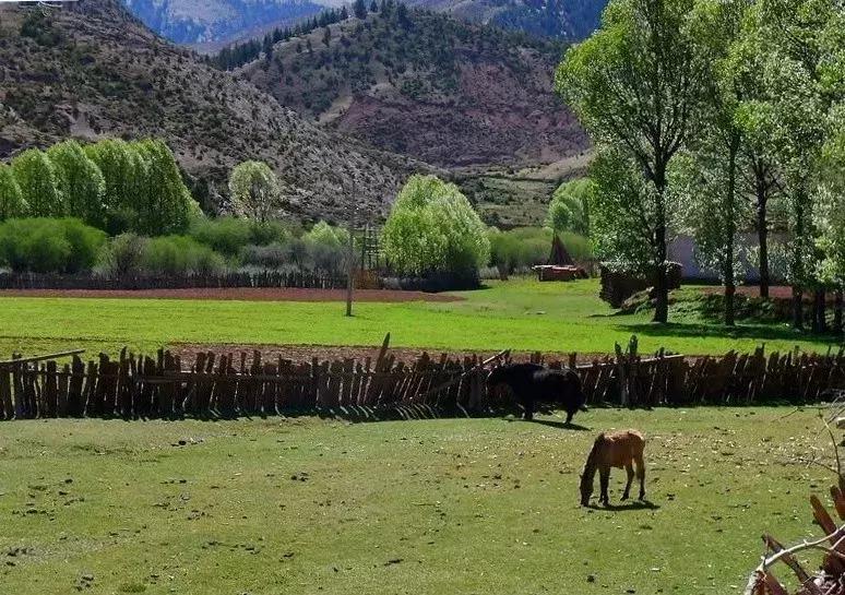 自驾游怎么穿越雪谷,自驾穿越雪地雾凇视频