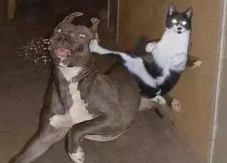 广东人写粤语字大全,史上最全粤语会说不会写