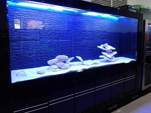 鱼缸过滤器清洗周期多久一次,鱼缸过滤器的清洗方法