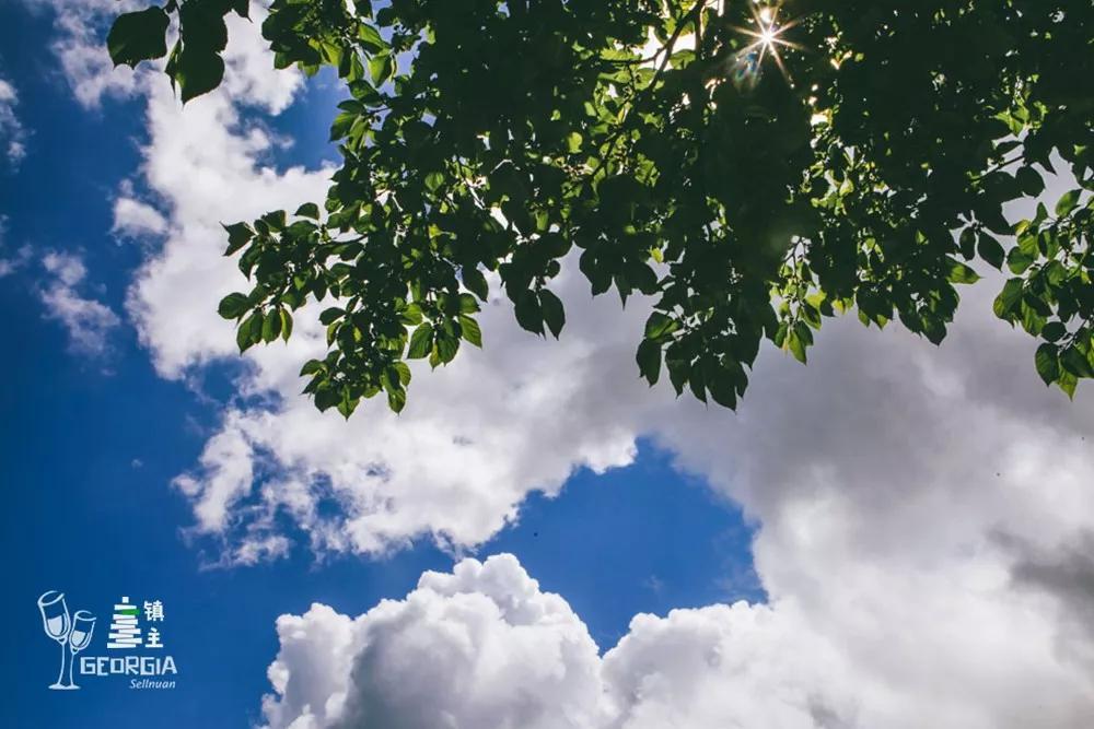 藏在山谷间的红酒小镇,藏在山谷的红酒小镇