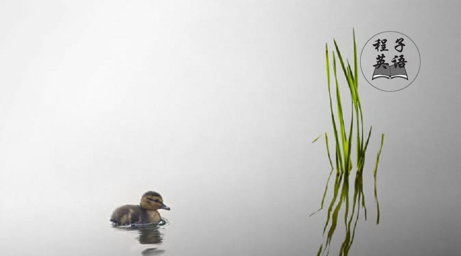 高中英语词汇大全汇总必背,高中英语想学好记住这几点