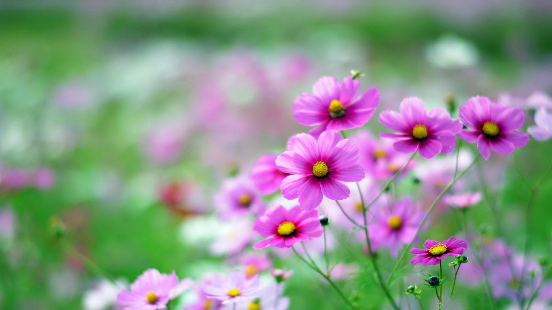 有咽炎春季怎么注意,春季是咽喉炎高发严重的季节吗