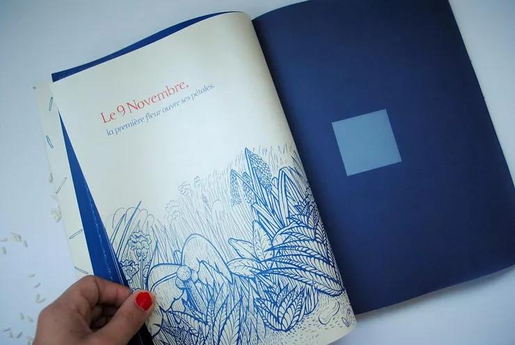 企业画册设计的核心原则有哪些,公司画册怎么设计