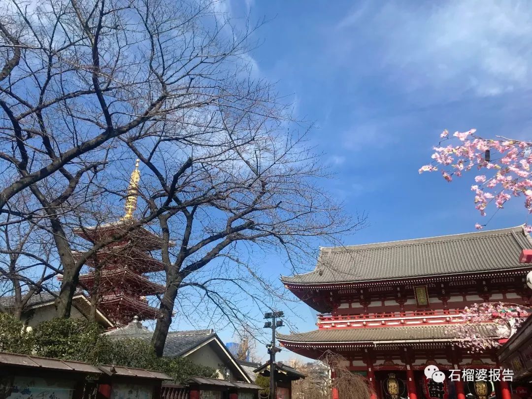 四世同堂一日游,四代同堂去旅游